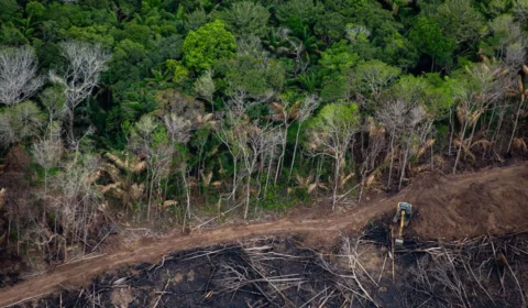 Comissão Pastoral da Terra aponta que 19 pessoas já foram assassinadas em conflitos no campo em 2022