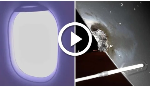 VÍDEO: avião de Miley Cyrus é atingido por raio e faz pouso de emergência em São Paulo