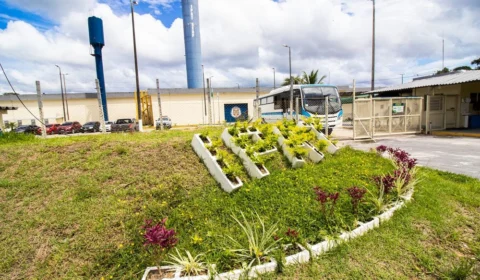 Seis detentos fogem pelo teto de ônibus durante transferência de presídio em Manaus