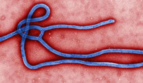 República Democrática do Congo declara novo surto de ebola