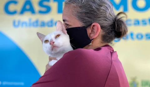 Sema promove mutirão de castração para cães e gatos na Cidade Nova, Zona Norte de Manaus