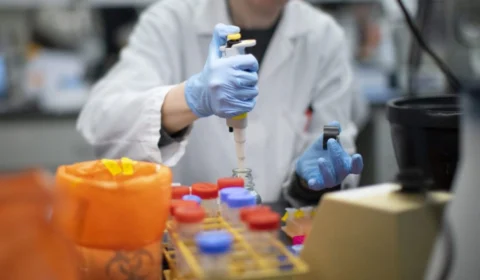 Monkeypox: sobe para 27 número de infectados por varíola dos macacos no Amazonas