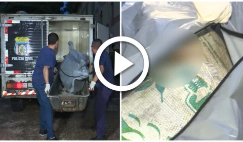 VÍDEO: corpo decapitado é encontrado boiando em córrego da Zona Oeste de Manaus