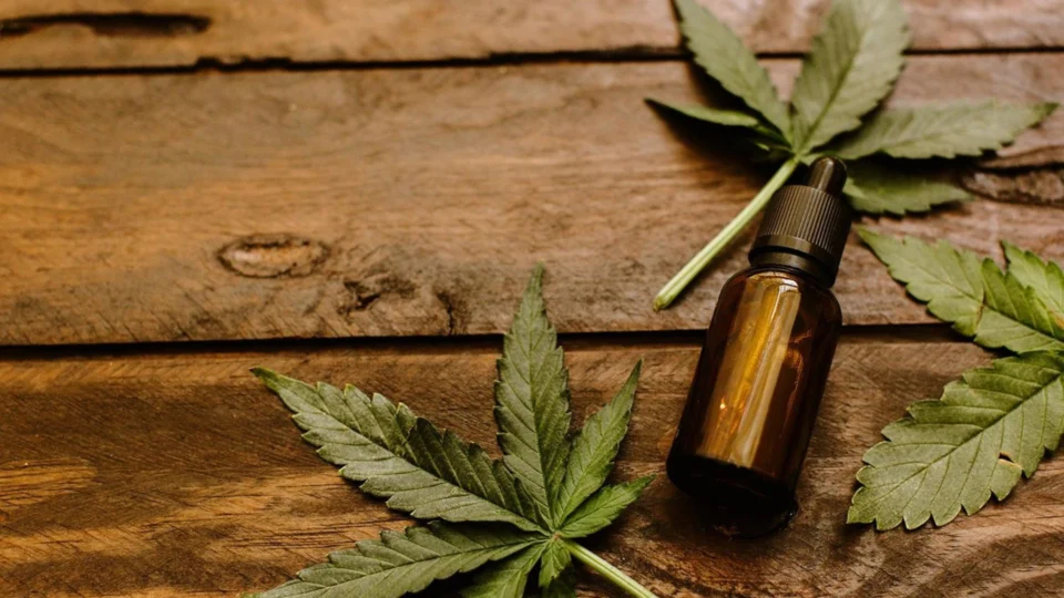 Em decisão inédita, STJ autoriza plantio de maconha a três pacientes para fins medicinais