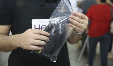 Projeto cria campanha para doação de cabelo a pessoas com câncer