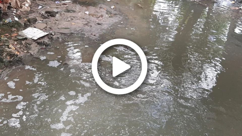 VÍDEO: corpo de homem é encontrado em igarapé próximo a jacarés na Zona Leste de Manaus