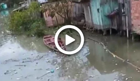 VÍDEO: corpo decapitado é encontrado em igarapé no bairro São Jorge, Zona Oeste de Manaus