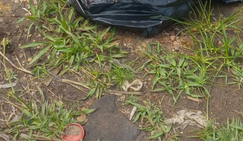 Saco com partes de corpo esquartejado é encontrado na Zona Leste de Manaus