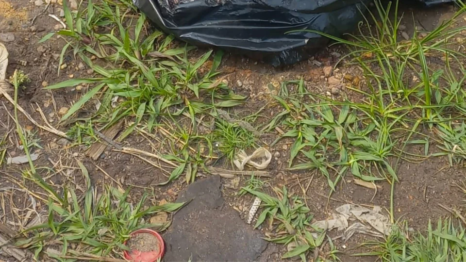 Saco com partes de corpo esquartejado é encontrado na Zona Leste de Manaus