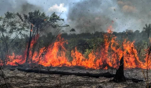 Apuí, no AM, concentra maior número de focos de queimadas do Brasil, diz Inpe