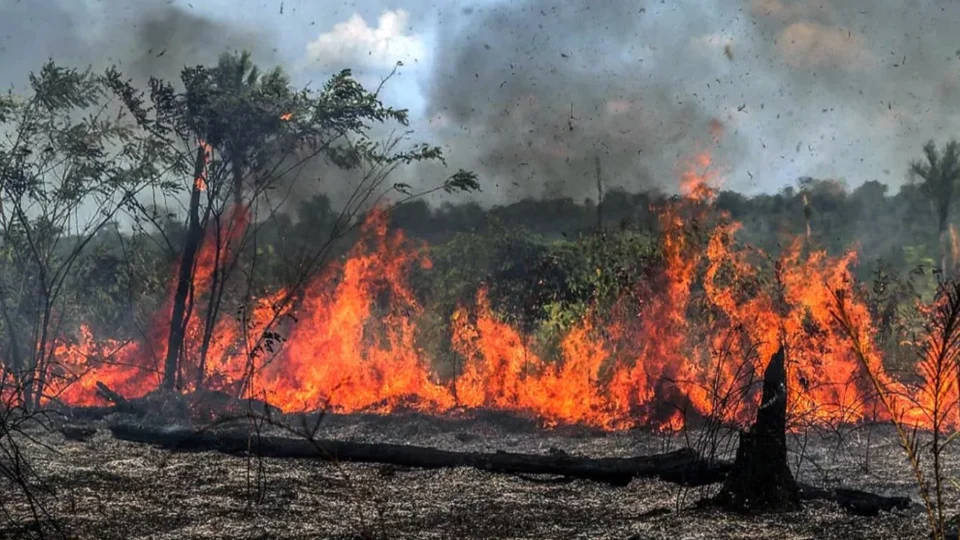 Apuí, no AM, concentra maior número de focos de queimadas do Brasil, diz Inpe