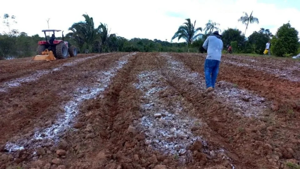 TCE atende MPAM e determina suspensão de pregões para materiais agrários, em Manaquiri