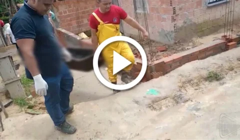 VÍDEO: ossada humana é encontrada em comunidade da Zona Norte de Manaus