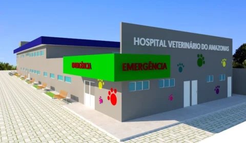 Hospital Público Veterinário do Amazonas está com 24% de obra concluída