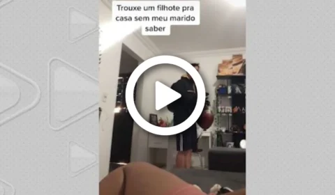 VÍDEO: encontro surpresa entre tutor e sua pet Zoe alcança mais de 2 milhões de visualizações em rede social
