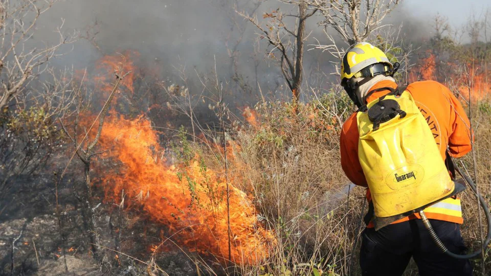 Força Nacional combaterá incêndios florestais e queimadas no Amazonas