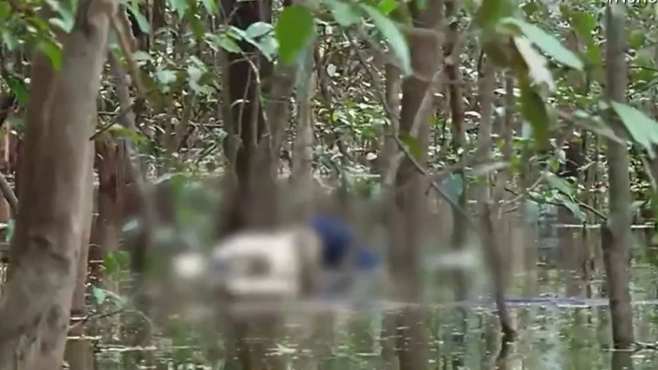 Corpo é encontrado no Distrito Ariaú em Iranduba, no AM