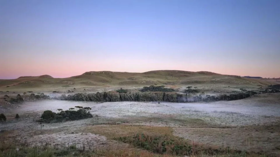 Vegetação amanhece coberta pelo gelo na Serra de Santa Catarina; veja fotos