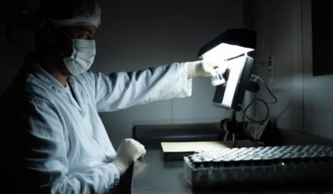 Ensaio clínico: vacina da dengue do Butantan tem resposta imune superior a 90%