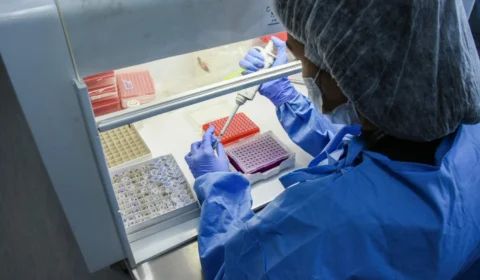 Fiocruz Amazônia faz primeiros sequenciamentos de genoma do vírus causador da Monkeypox na região norte