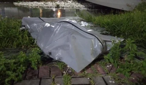 Corpos são encontrados esquartejados em igarapés de Manaus