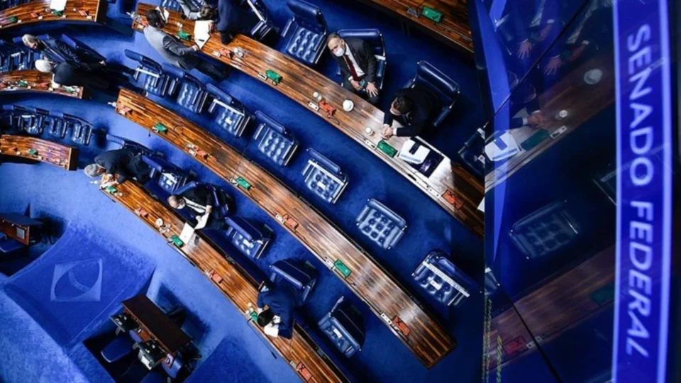 Eleições 2022: três candidaturas coletivas concorrem a vagas no Senado