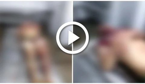 VÍDEO: suspeito de abuso é capturado e morto em Parintins-AM