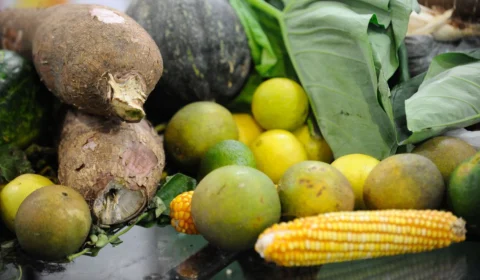 Guia do Ministério da Saúde traz dicas para alimentação de crianças; saiba mais