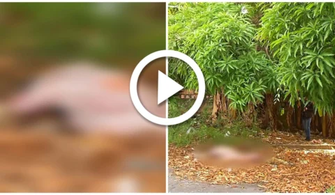 VÍDEO: corpo de homem é encontrado em terreno do Centro de Manaus