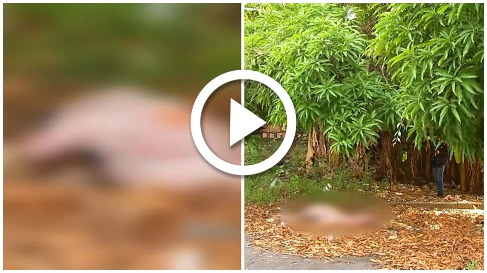 VÍDEO: corpo de homem é encontrado em terreno do Centro de Manaus