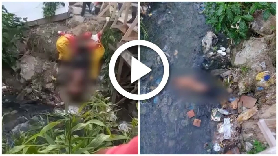 Homem é morto a pauladas e corpo é jogado em igarapé na Zona Norte de Manaus