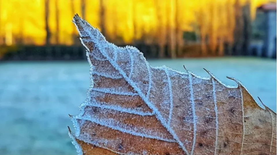 Inverno começa oficialmente nesta terça-feira no Brasil