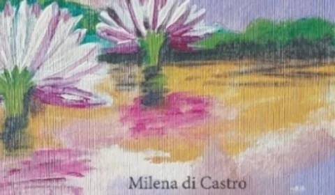 Escritora amazonense lançará livro na Bienal do Livro em São Paulo