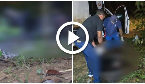 VÍDEO: corpo carbonizado é encontrado em área de mata da Zona Oeste de Manaus