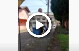 VÍDEO: mulher é flagrada jogando cachorro dentro de container de lixo em Santa Catarina