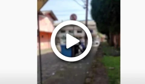 VÍDEO: mulher é flagrada jogando cachorro dentro de container de lixo em Santa Catarina