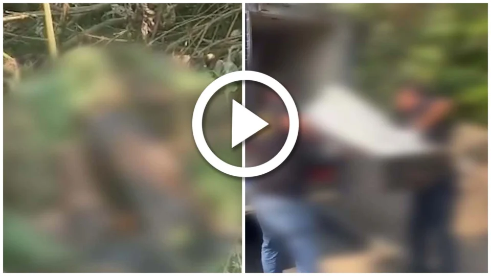 VÍDEO: mulher é carbonizada no bairro Santa Etelvina, Zona Norte de Manaus