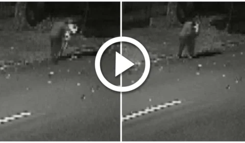 VÍDEO: câmera flagra momento em que mulher é arrastada para ser estuprada em terreno, no Paraná