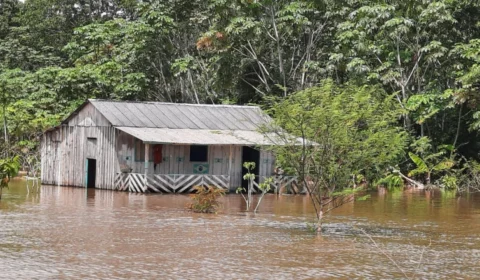 Novo Aripuanã, no Amazonas, decreta situação de emergência por conta da subida do Rio Madeira
