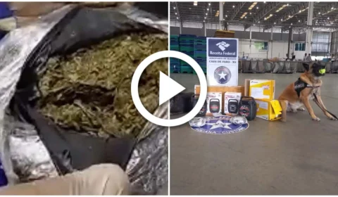 VÍDEO: maconha é encontrada dentro de caixa de som que seriam enviadas por correio em Manaus