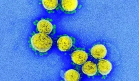 UFMG detecta nova linhagem da variante ômicron no Brasil