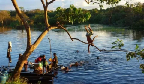 Estudo relaciona desmatamento com aumento de anemia em crianças na Amazônia