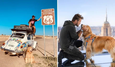Cinzas de cão morto em acidente nos EUA chegam ao Brasil 2 meses após morte ao lado de seu tutor
