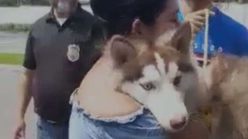 Após dois meses, polícia recupera cachorra roubada de condomínio em Iranduba-AM