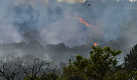 Decreto suspende queimadas em todo território nacional