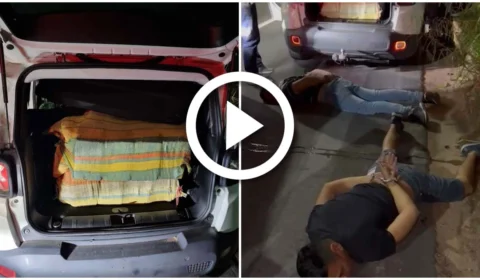 VÍDEO: Policia Civil apreende 250 kg de maconha que seriam vendidas em Manaus
