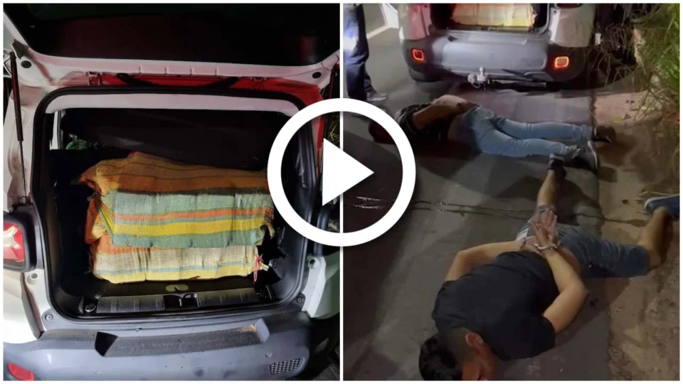 VÍDEO: Policia Civil apreende 250 kg de maconha que seriam vendidas em Manaus