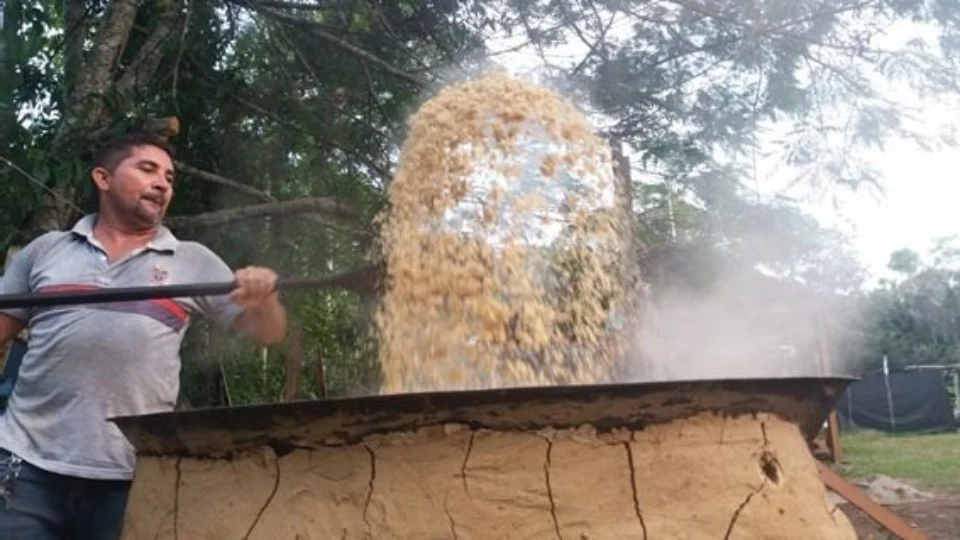 Pesquisadores do AM criam ração sustentável para peixes com resíduos da agroindústria