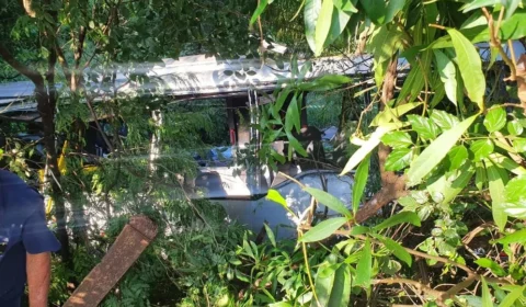 Polícia prende motorista de caminhão envolvido em acidente que deixou sete mortos no Paraná