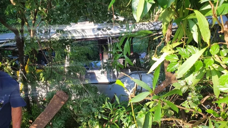 Polícia prende motorista de caminhão envolvido em acidente que deixou sete mortos no Paraná